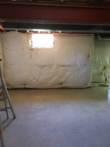 In-Law Suite Basement Remodel in Frederick, Maryland